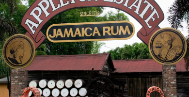 Destilerías de ron más famosas del Caribe y dónde hospedarse