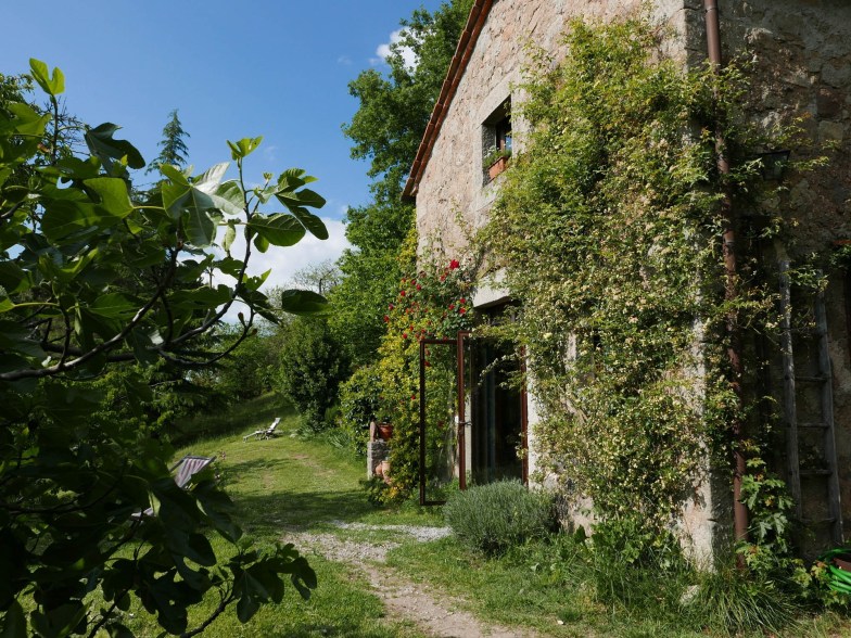 Estancia en una granja orgánica Terra Delle Sidhe, Toscana