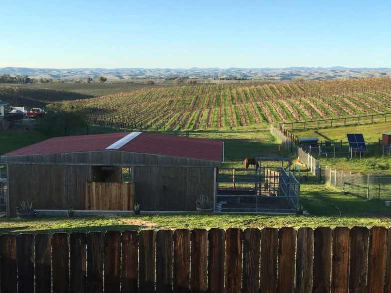 Granja tranquila con increíbles vistas a los viñedos